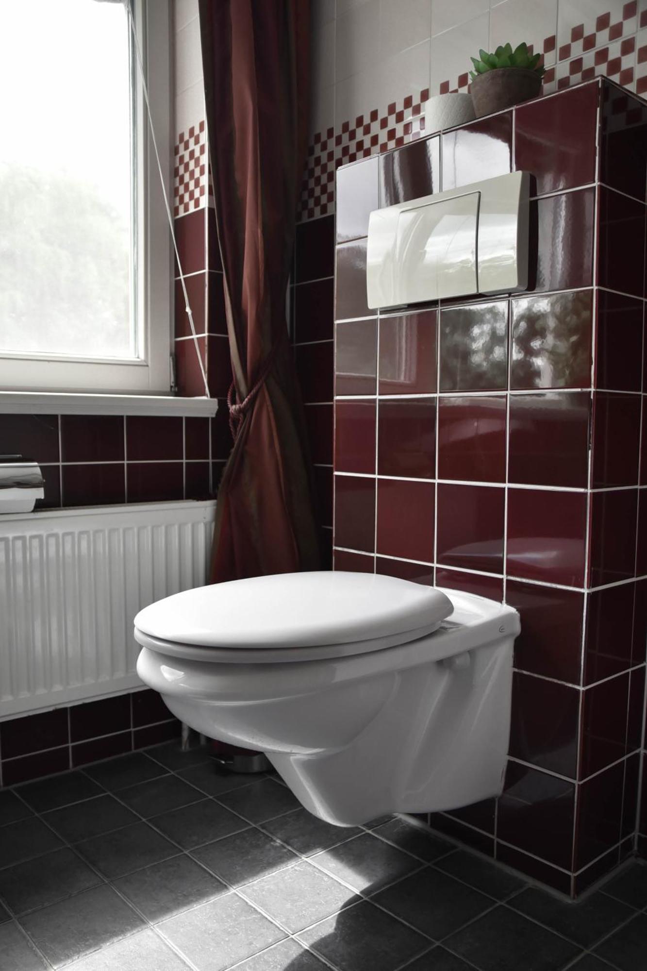 The Cosy Cottage For Comfort With Sauna And Hottub زيفولد المظهر الخارجي الصورة